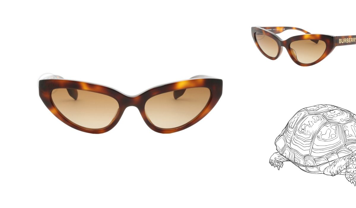 Burberry donosi i izuzetno modernu verziju mačkastih sunčanih naočala s upadljivim natpisom na ručkici. 