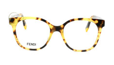 FE50023I-055