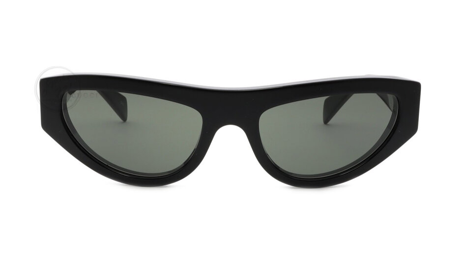 GG1919S-001