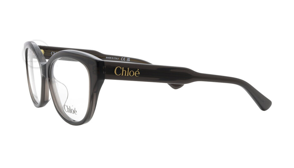 CH0381OL-006