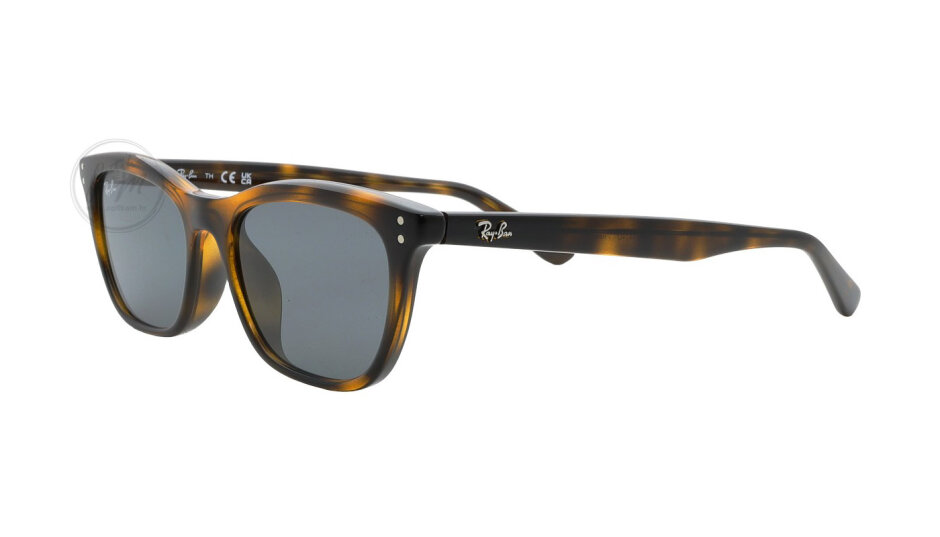 SUNČANE NAOČALE RAYBAN RB4474D 710/87