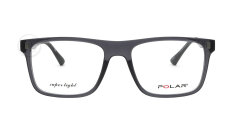 POLAR495-29