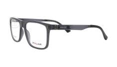 POLAR495-29