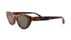 FE40209I-52E