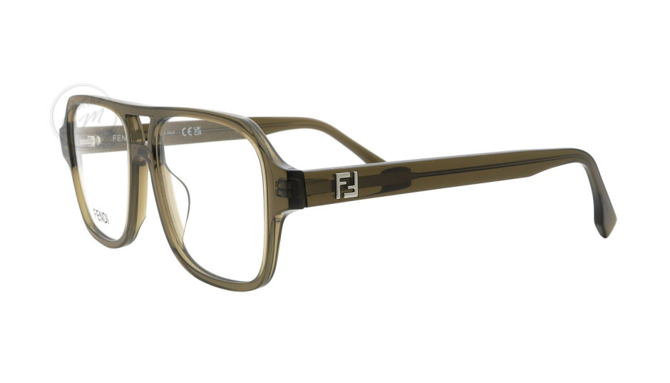 FE50131I-050